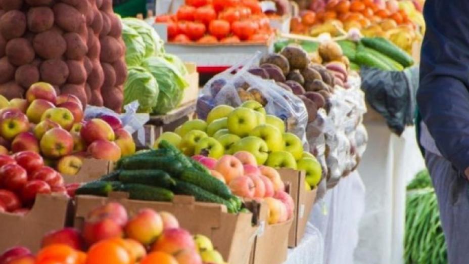 Елордада Ақтөбе мен Қызылорда облыстарының ауылшаруашылық жәрмеңкесі өтеді