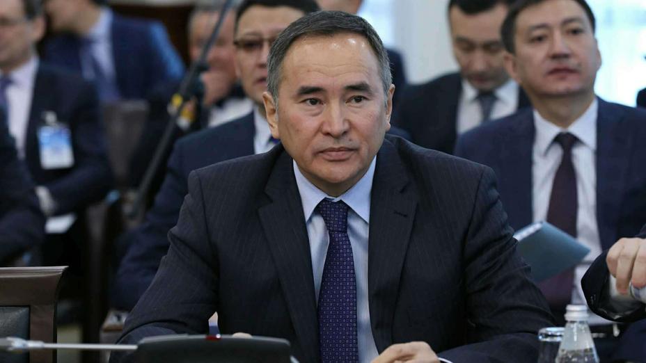 Депутаттар Асқар Мырзахметов бастаған жобаға қолдау сұрады