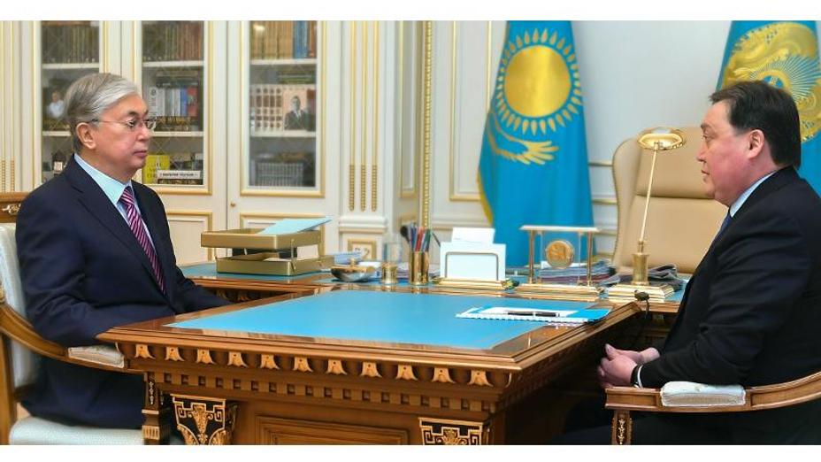 Президент төтенше жағдай режимін қамтамасыз ету жөніндегі мемкомиссия жұмысымен танысты