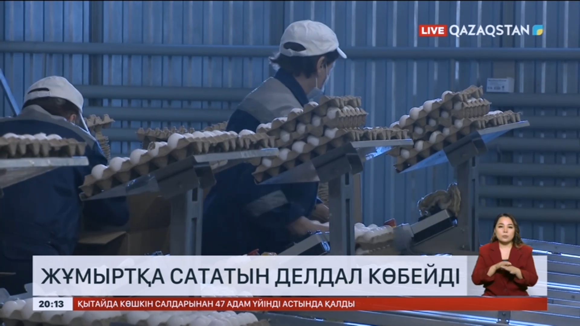 Нарықта жұмыртқа сататын делдалдар көбейіп кетті «Qazaqstan» Ұлттық