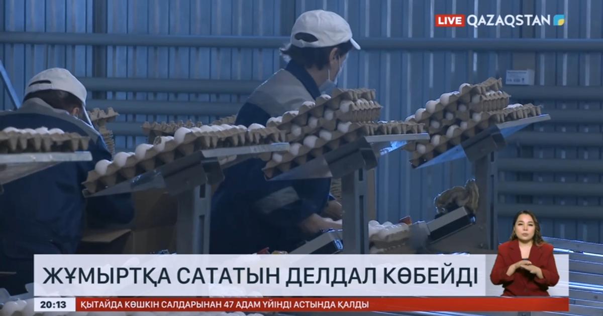 Нарықта жұмыртқа сататын делдалдар көбейіп кетті «Qazaqstan» Ұлттық