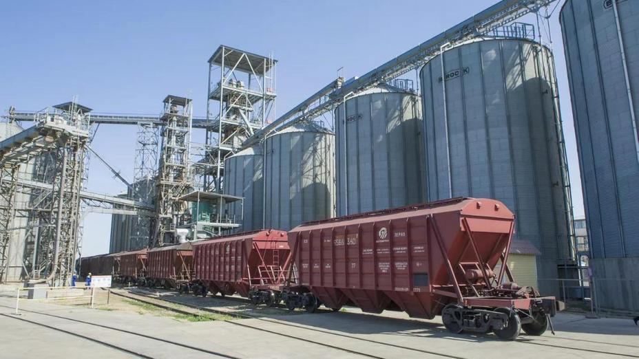 Қазақстан 9 млн тонна жаңа астық экспорттады