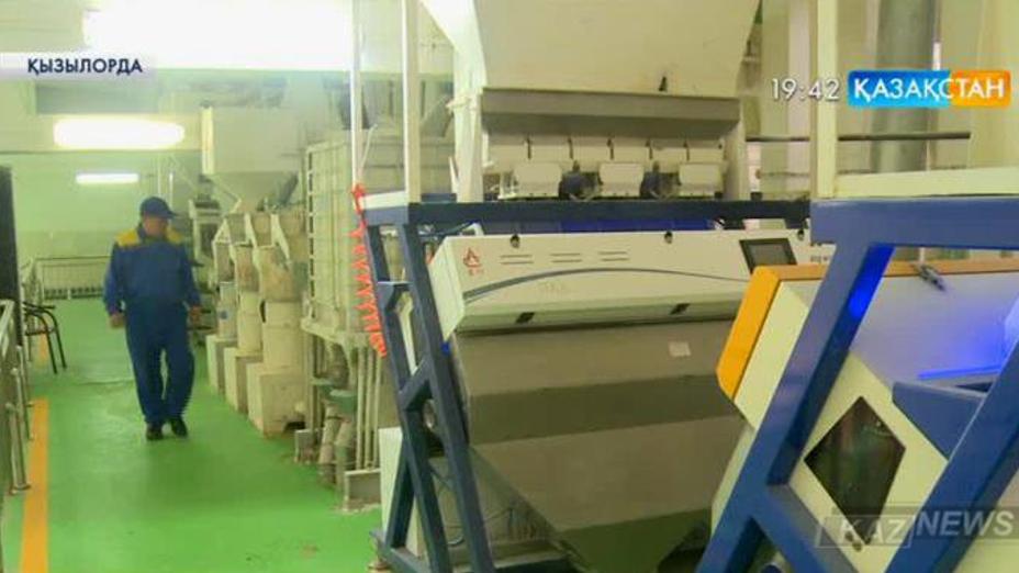 «Nestlé» компаниясы Қызылорданың күрішін шоколад өндірісіне пайдаланбақ