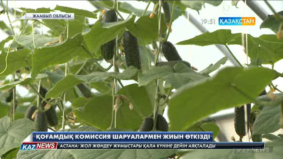 Жамбыл облысында Жер реформасын түсіндіру үшін құрылған қоғамдық комиссия бүгін жұмысқа кірісті