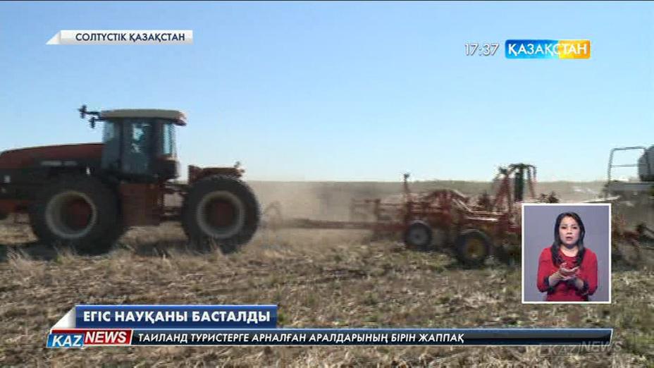 Солтүстік Қазақстан облысында егіс науқаны басталды