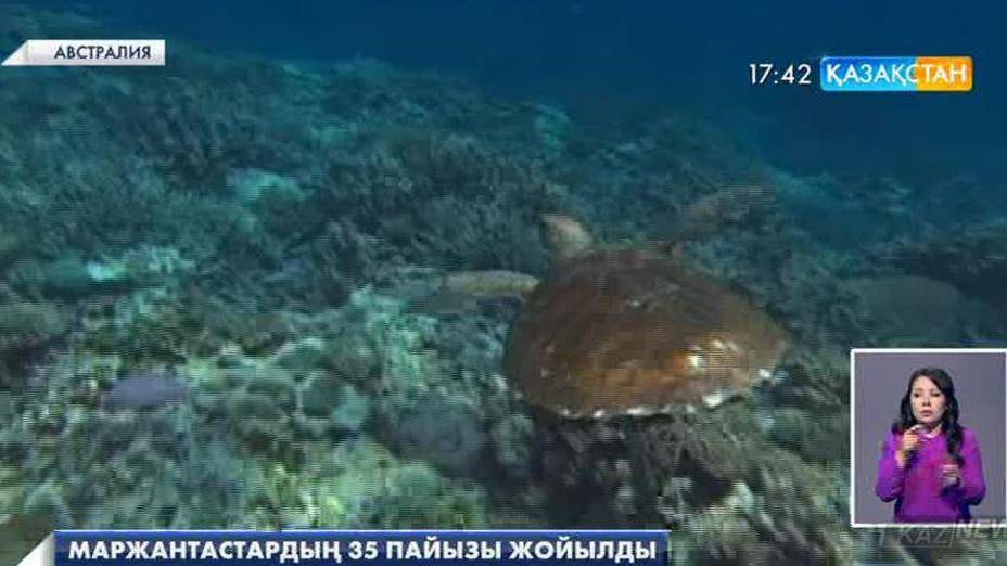Австралия жағалауындағы маржантастардың 35 пайызы жойылды