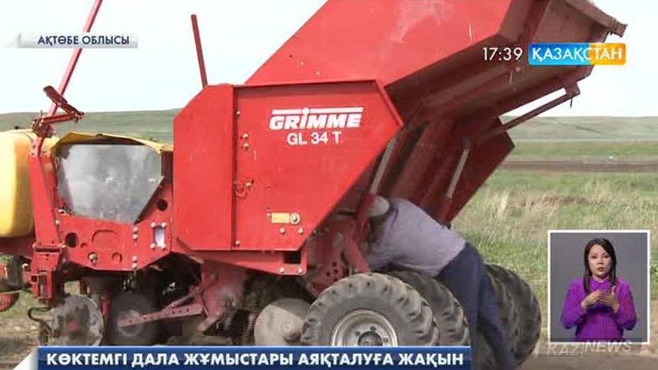 Биыл Ақтөбе облысында 561 мың гектар жерге дән себу жоспарланып отыр