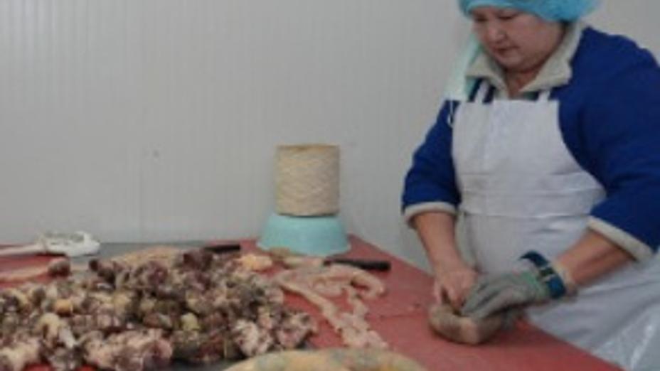 Қазақстаннан Мәскеуге 200 тонна қазы жөнелтілмек