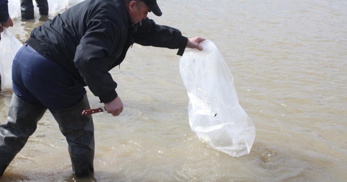 Петропавловское водохранилище казахстан на сегодня Петропавловское водохранилище казахстан на сегодня