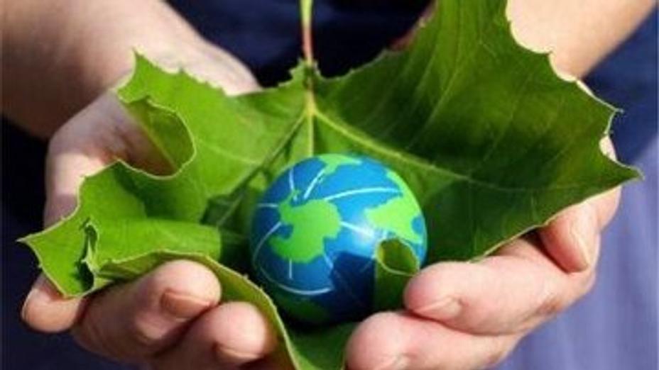 Қызылордада Қазақстандағы органикалық ауылшаруашылығын дамытуға арналған дөңгелек үстел өтеді