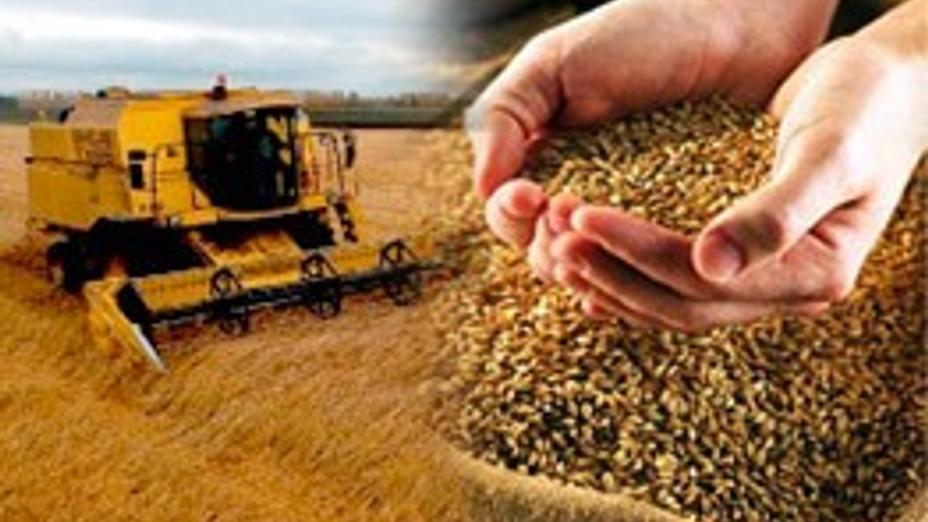 Канада елшісі Оңтүстік Қазақстан облысының аграрлық саласының әлеуеті зор дейді