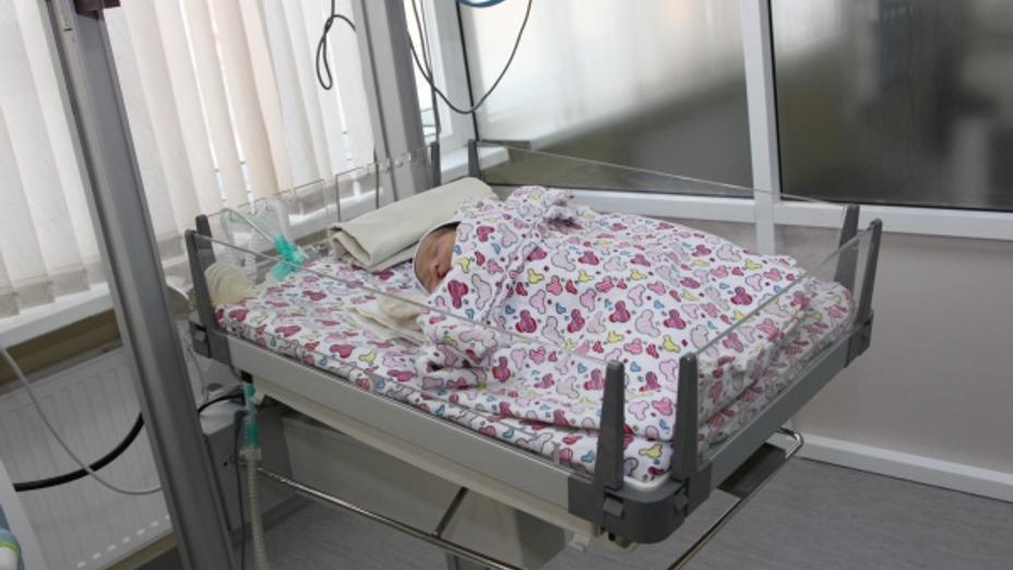 С начала года рождаемость в столице увеличилась на 4%