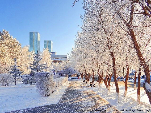 Солнечный зимний день в городе
