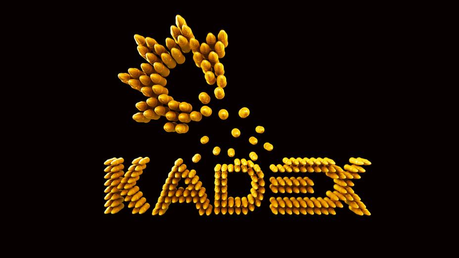 «KADEX-2016» көрмесіне келушілерге ұлттық стильдегі 10 киіз үй орнатылады