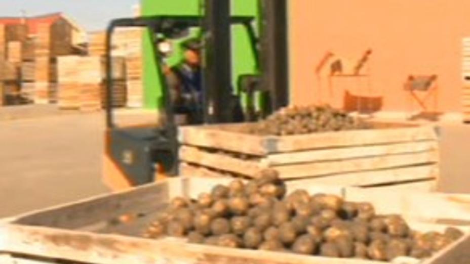 Атырауда ауыл шаруашылығы өнімдері заңсыз сатылған