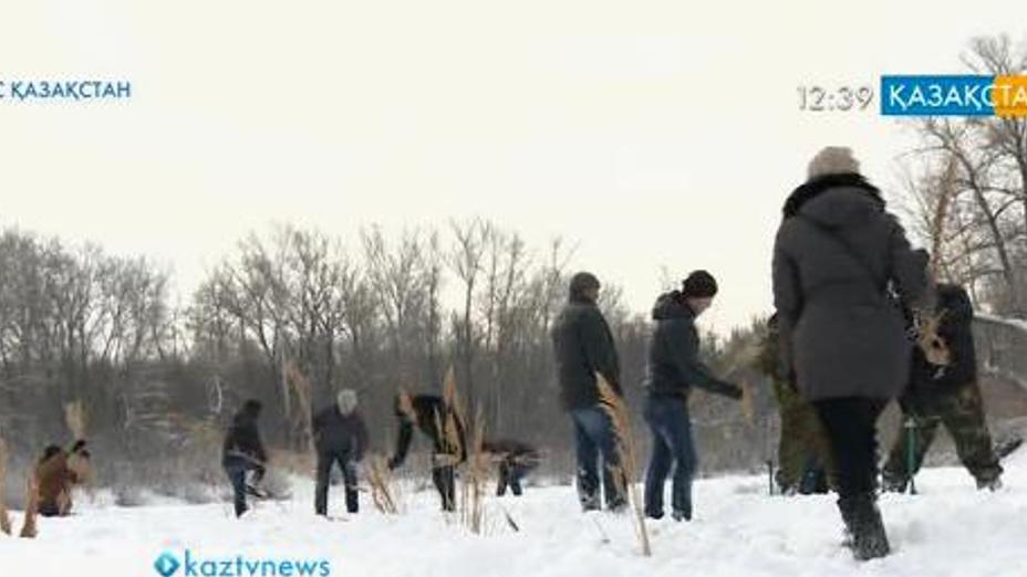 Батыс Қазақстан облысында балықтарды құтқару шарасы басталды