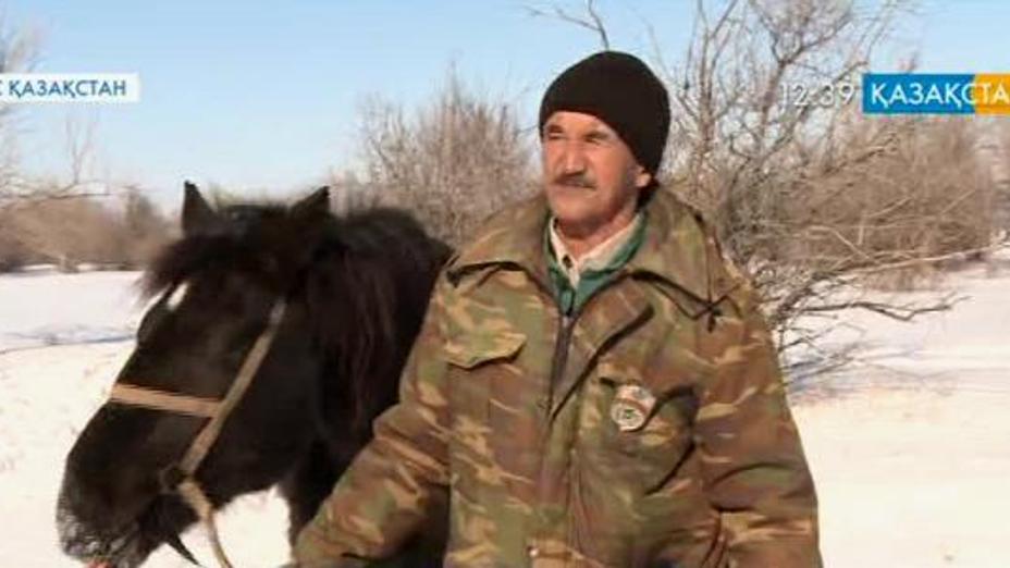 Орал өңіріндегі орман алқабын қорғаумен 400-ге тарта орманшы айналысады