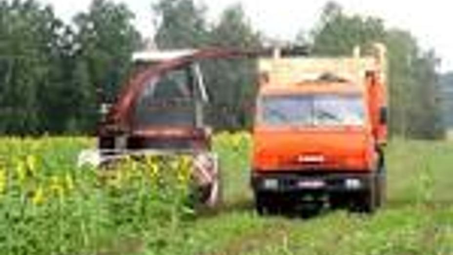 Агроөнеркәсіптің аумағы кеңімек