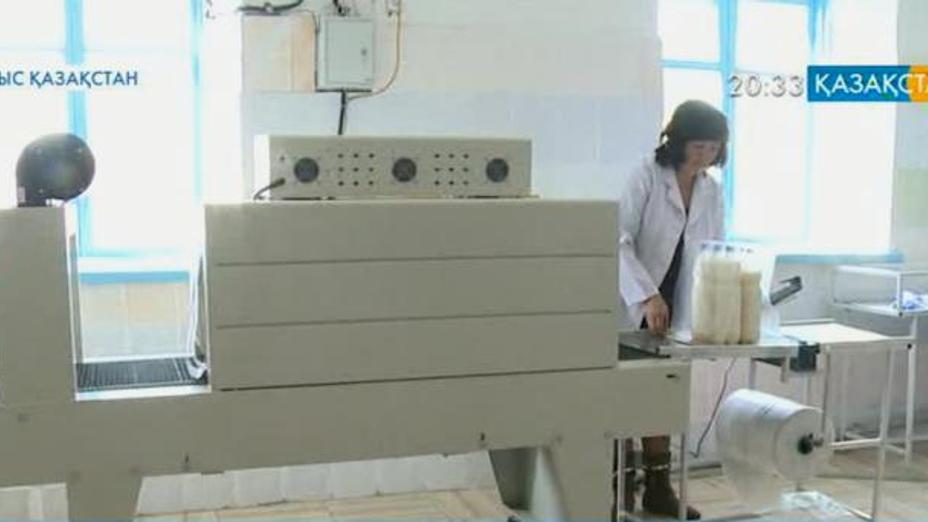 Күршім ауданының кәсіпкері қымыз өндірісін қолға алды