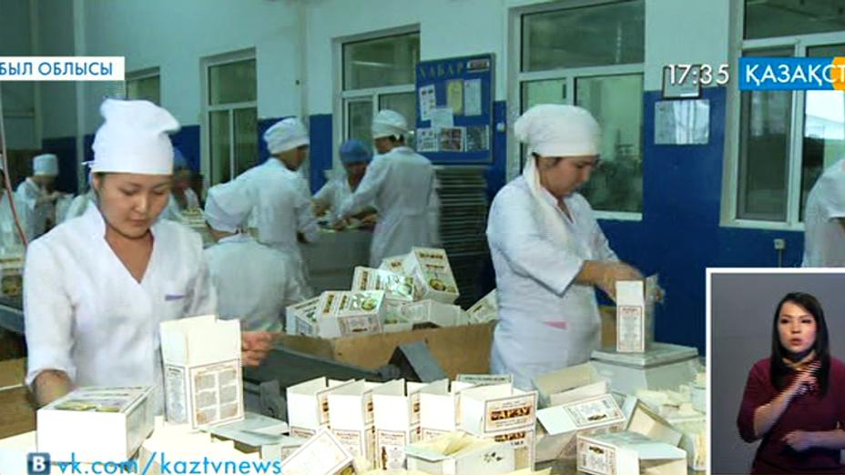 Мемлекеттік бағдарлама Жамбыл облысында кәсіпкерліктің дамуына серпін берді