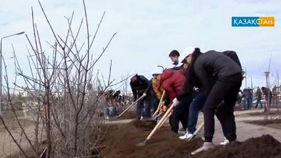 Астанада 4 мыңға жуық ағаш егіледі (БЕЙНЕБАЯН)