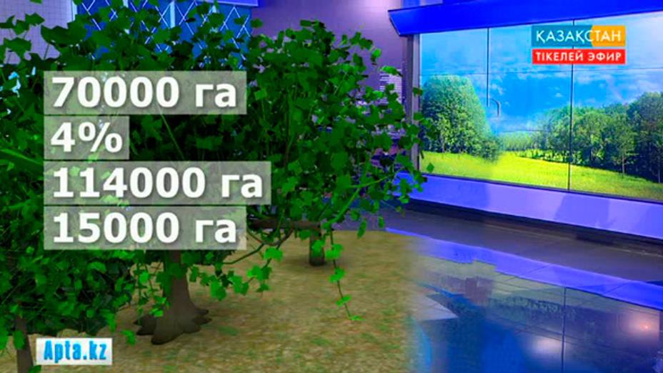 Астанадағы орман алқабы Шортандыға дейін жеткізіледі